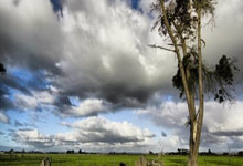 C7娱乐官网：阿莫林：我们需要轮换一些球员以保持活力；芒特回归是好事.