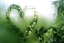 澳网-萨巴伦卡2-1帕芙柳琴科娃 晋级女单四强.